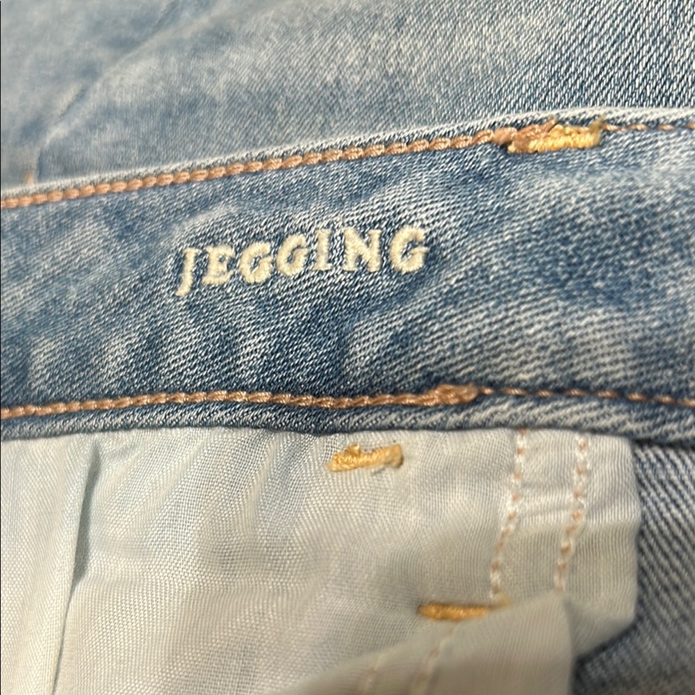 American Eagle Jeggings - Picture 8 of 9